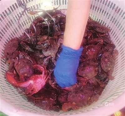 青岛开海什么海鲜最好,青岛开海了新鲜肥美的海鲜已上市