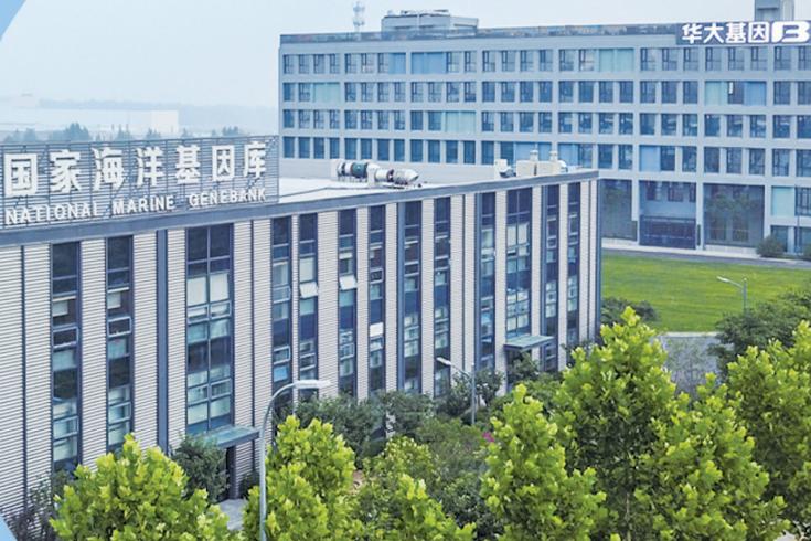 青岛：打造创新策源地，基因与细胞产业发力“未来”