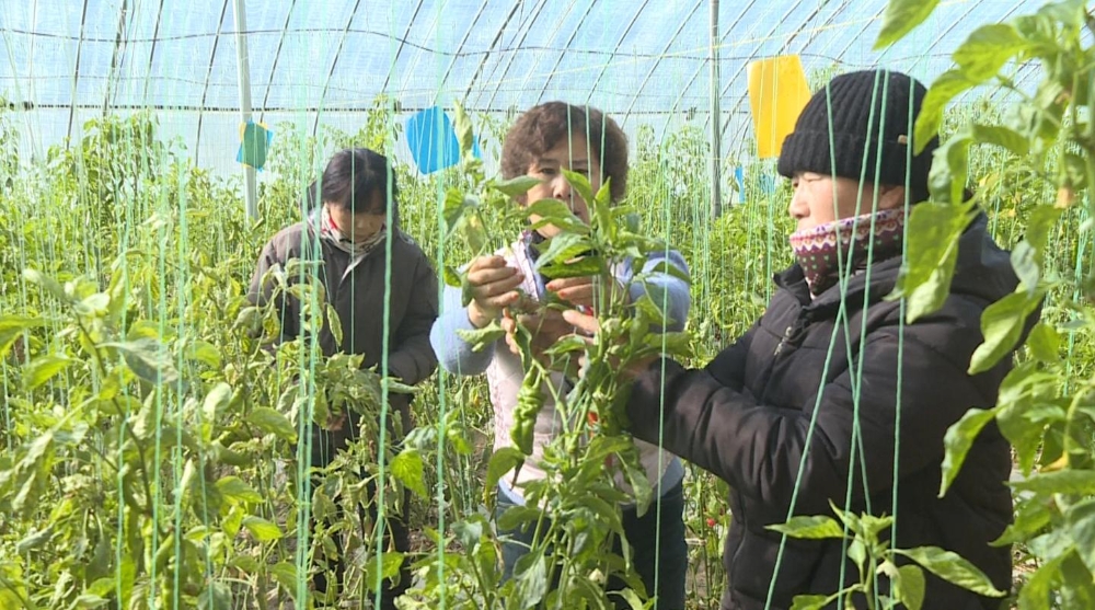 强信心促经济稳发展,强信心稳经济促发展是哪篇报告