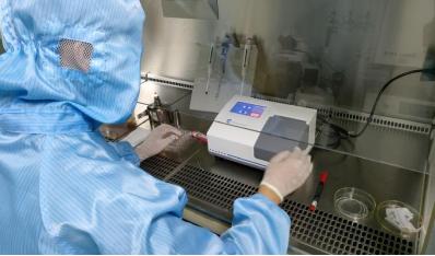 细胞转染动物实验,盟德生物细胞转染