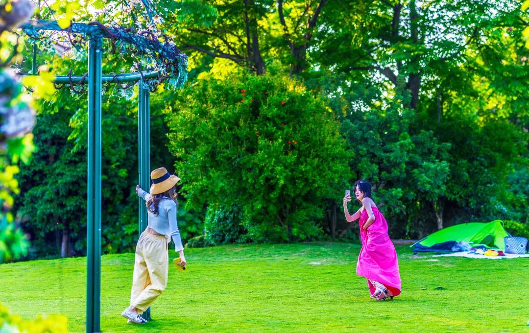 花山属于云南哪里,花山在什么地方