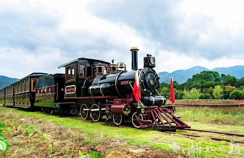 黄梅香樟园旅游区线上预订门票,背靠大树发家致富