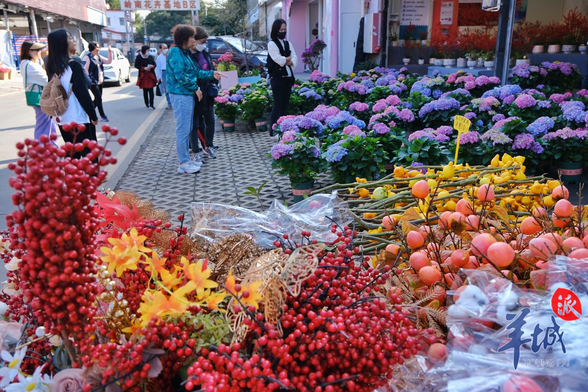 广州年花批发哪里最便宜,广州年花批发价格查询