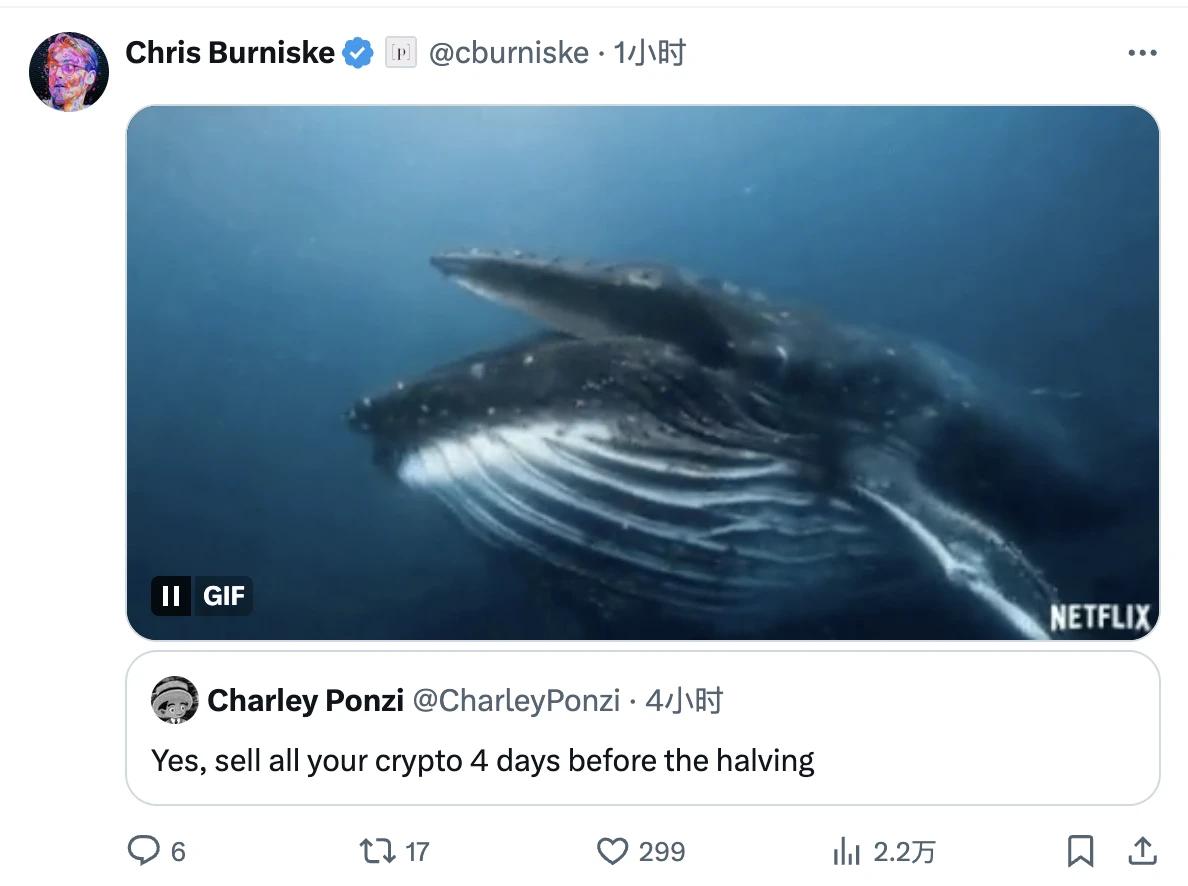 震荡行情值得关注的方向,行情分析与点位分享