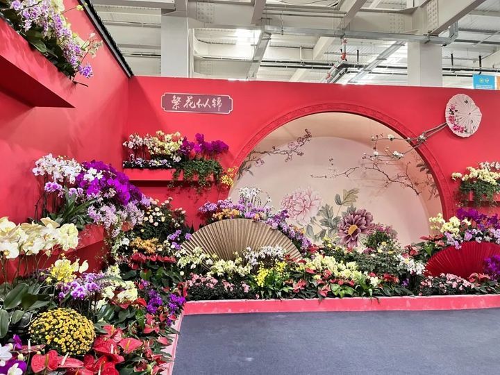 游花博泡温泉打卡,冬天商河温泉一日游