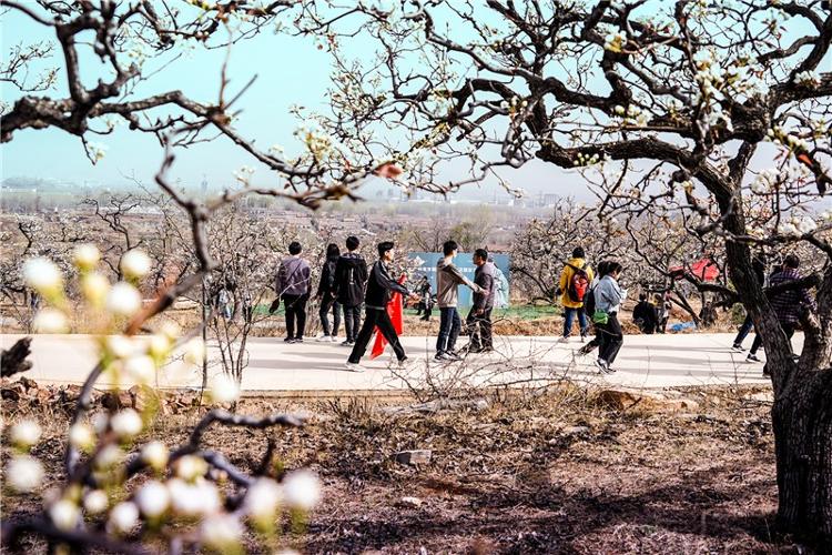 颜庄街道：服务群众零距离打好为民服务“组合拳”