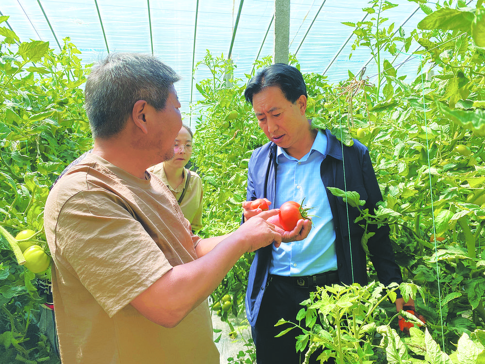 绿色食品如何认定,绿色食品安全认证标准