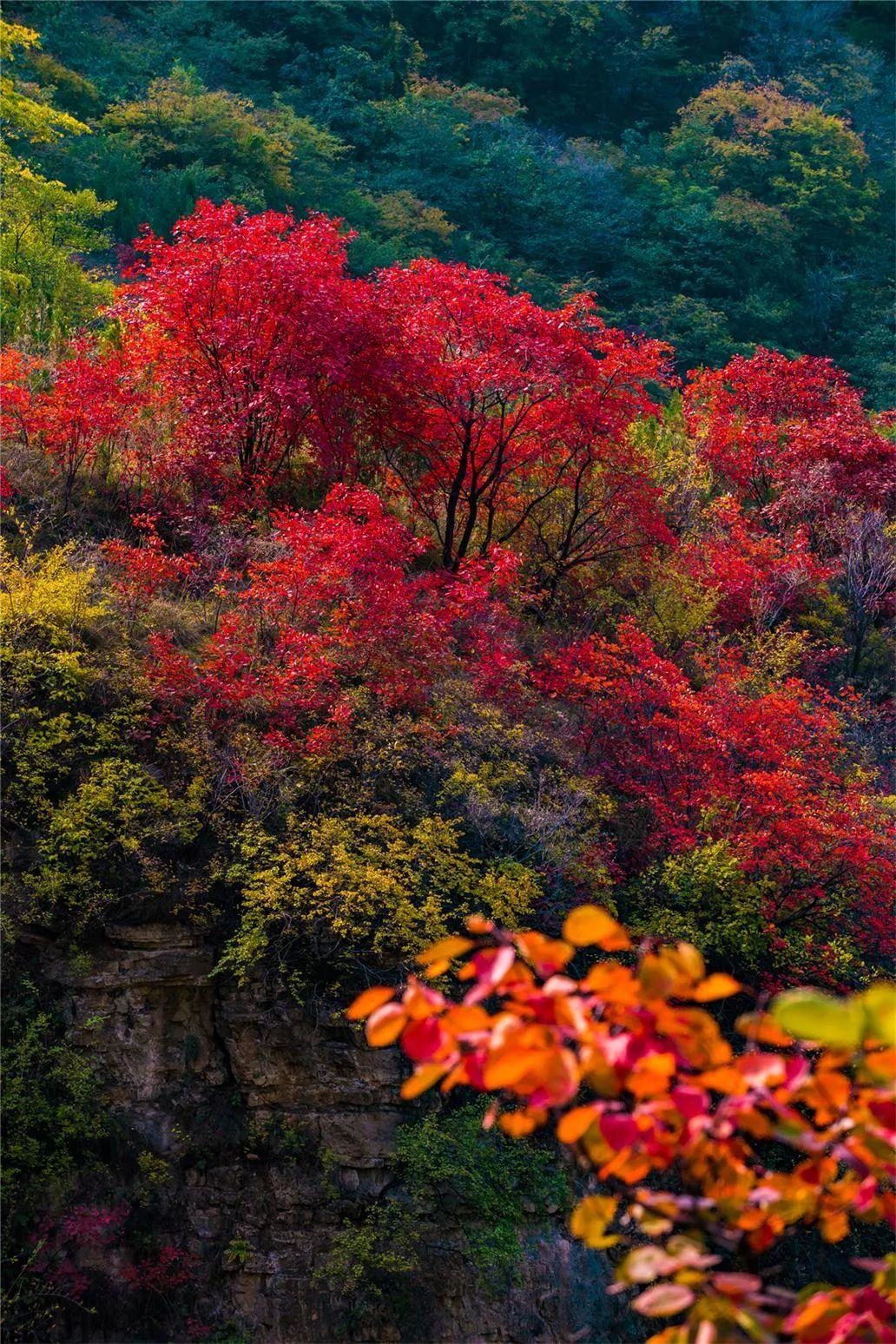 淄博潭溪山秋景,淄博鲁山看红叶最佳地方