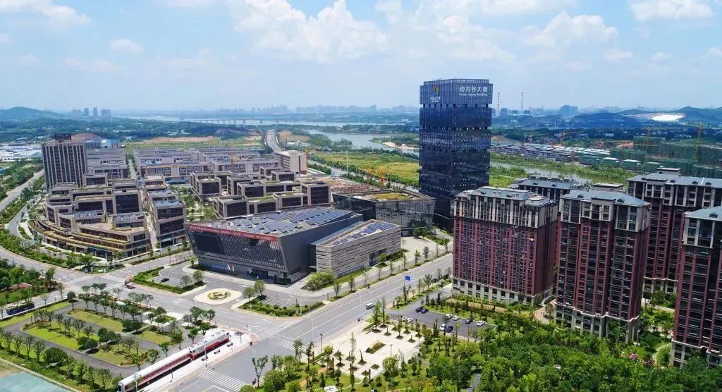 观潮大螃蟹,观潮的螃蟹