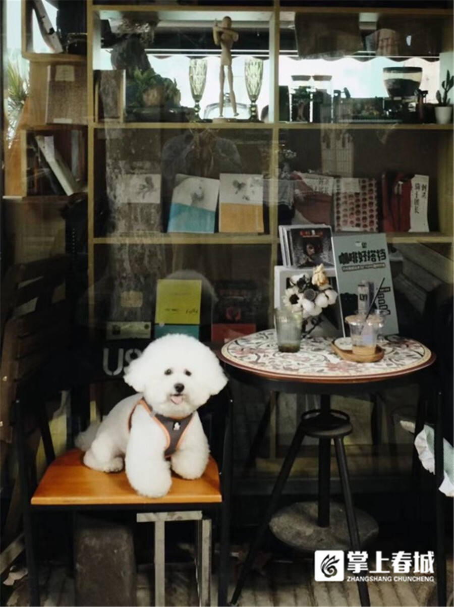 咖味昆明丨来昆明老街大树下喝一杯暖暖的咖啡吧