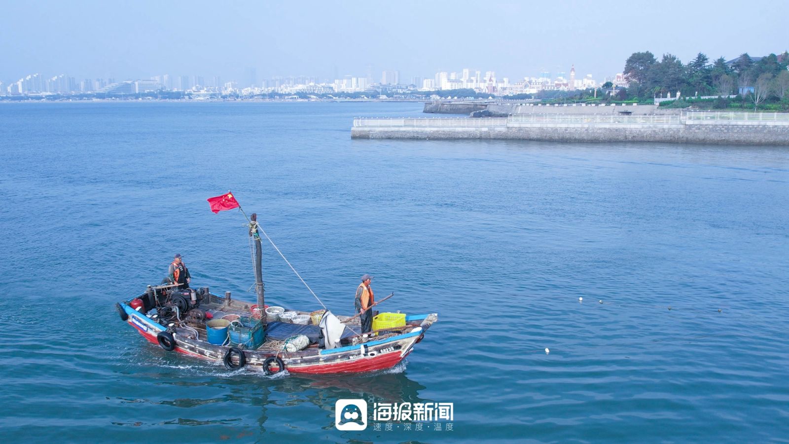 日照小海虾批发,日照小开海