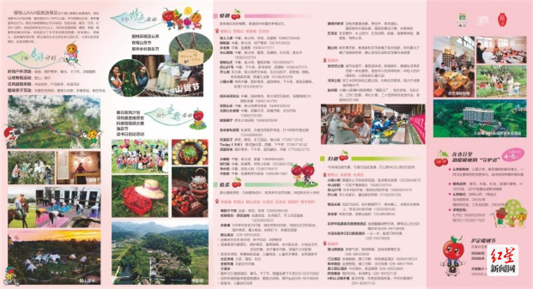 2024成都蒲江樱桃采摘季活动,蒲江光明乡樱桃采摘时间