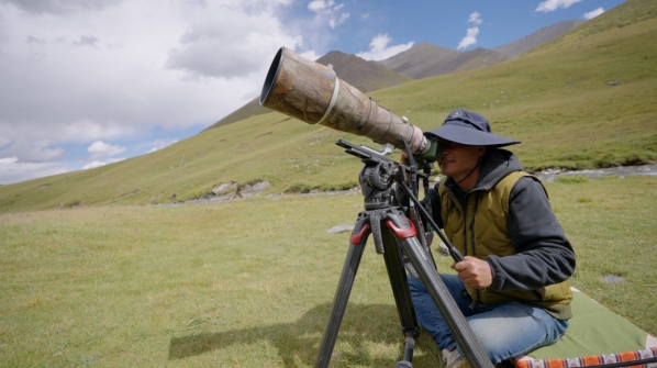 世界雪豹日宣传片,世界雪豹