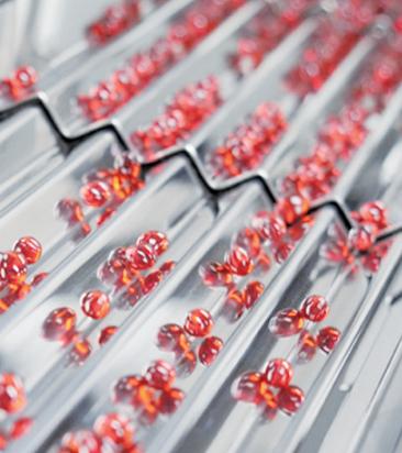 青岛：打造创新策源地，基因与细胞产业发力“未来”