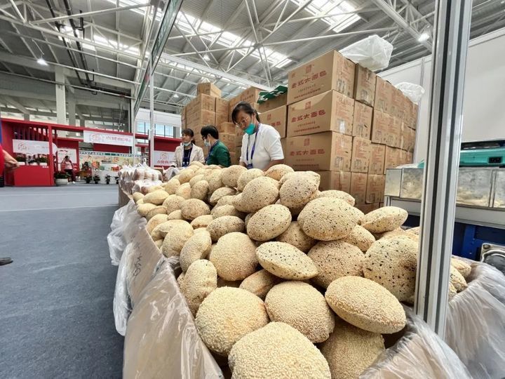 游花博泡温泉打卡,冬天商河温泉一日游