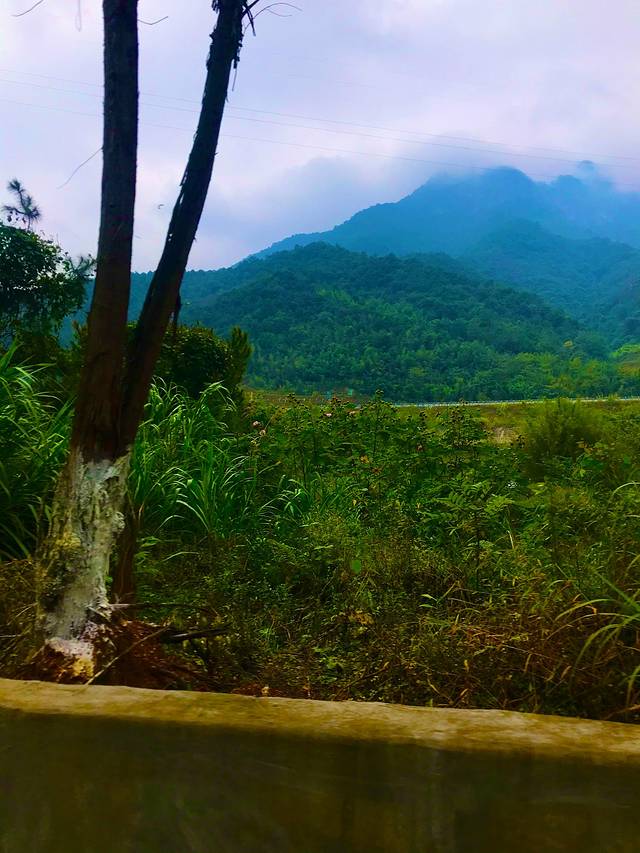 省道244自驾游攻略,最美228国道公路自驾游攻略