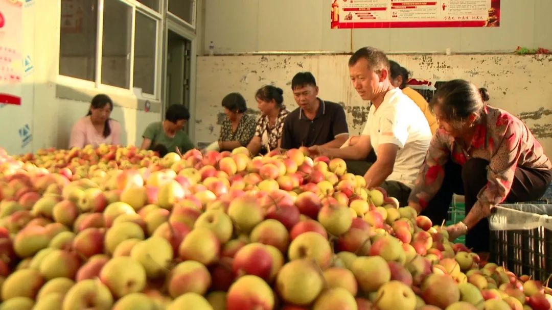 产值1亿元左右的农业企业,产值1亿的产业