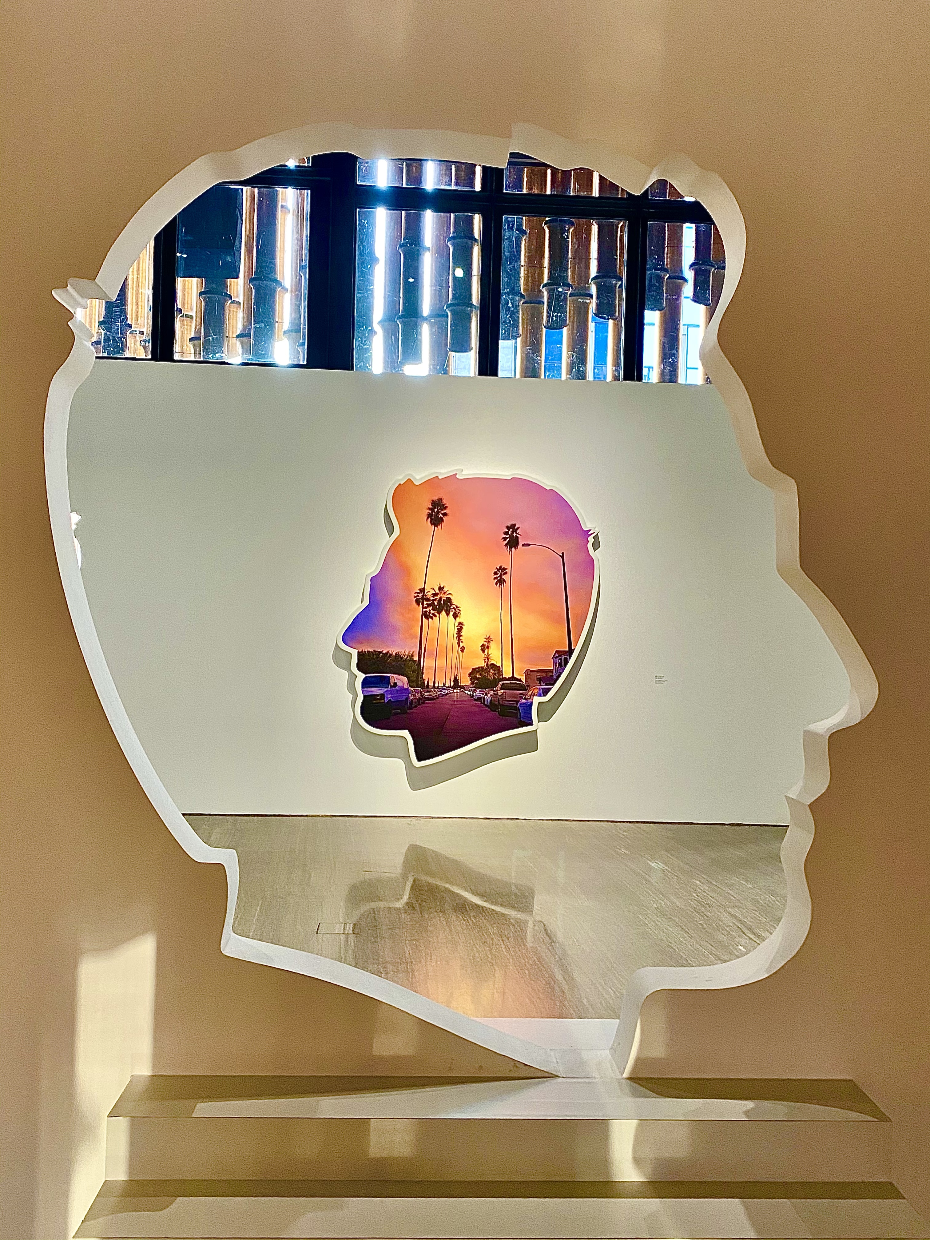 美国加州艺术展,加州三角梅和变色龙