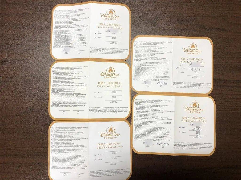 上海迪士尼不用排队攻略,上海迪士尼花1000多买门票划算吗