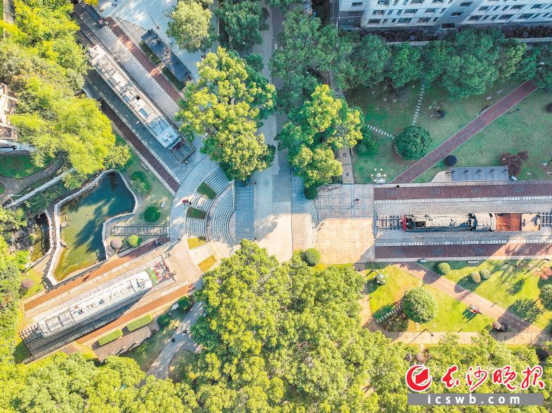 新闻记者采访学校,记者探访校园图书馆