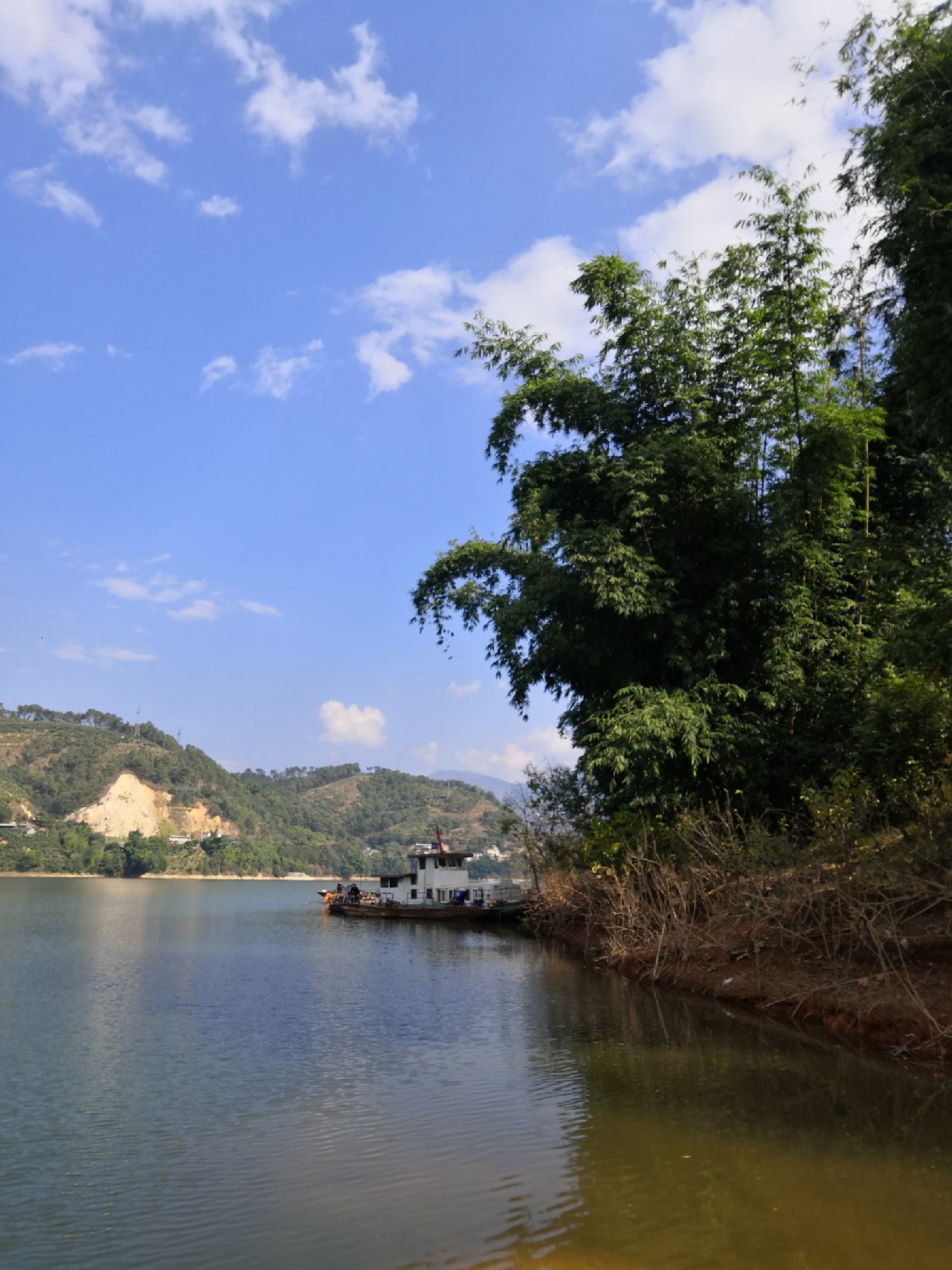 梅子姐这次选了没有打窝的钓位，渔获究竟如何呢