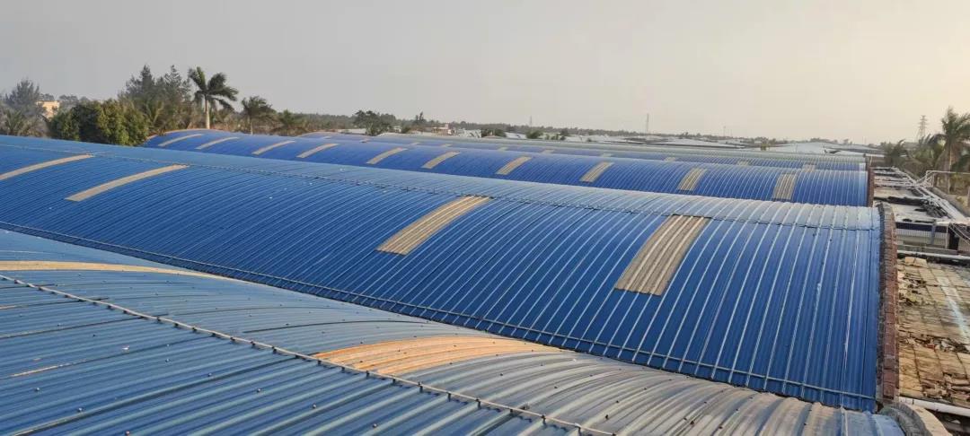 重磅！一老牌种苗劲旅加入恒兴