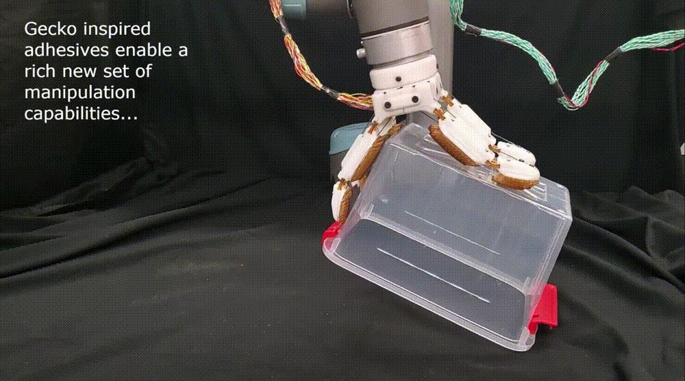 斯坦福机器人进化,斯坦福机器人跳跃