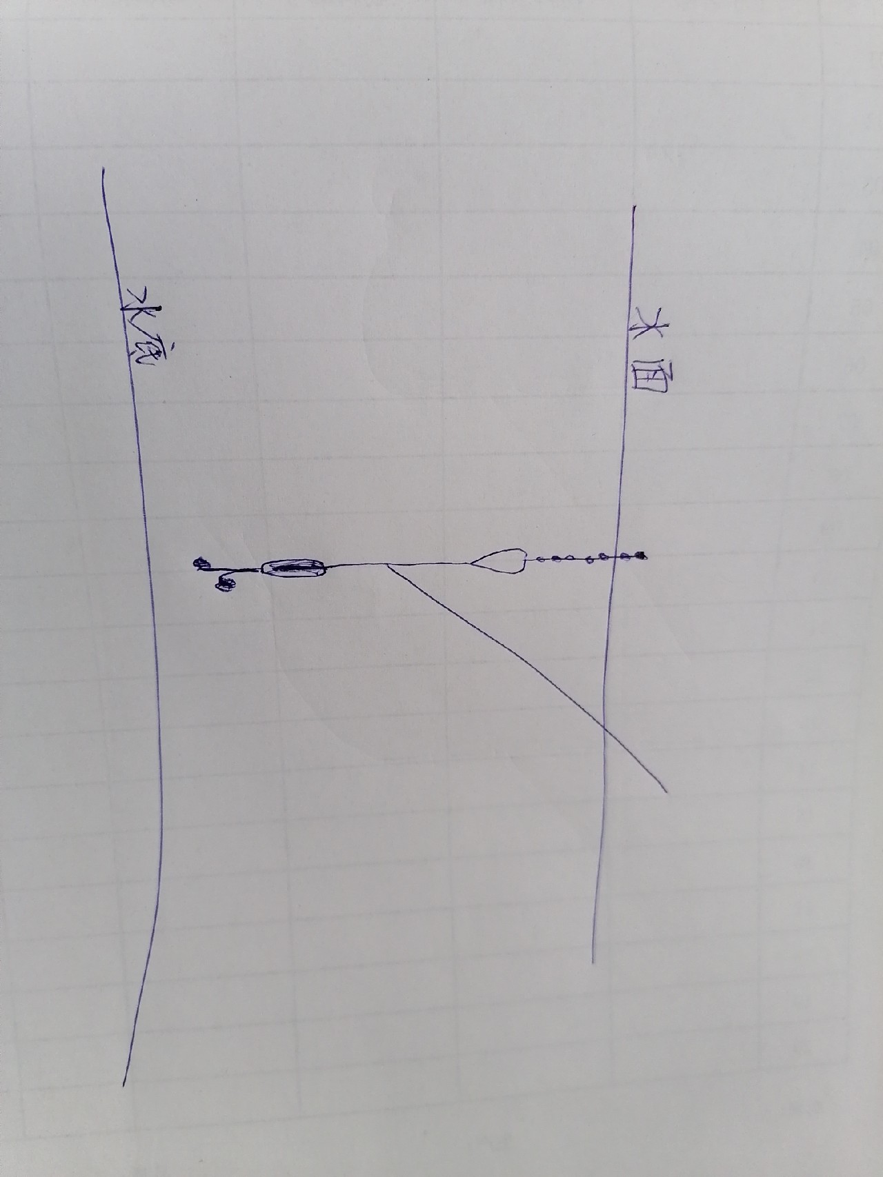 顶漂和黑漂是什么意思,顶漂上鱼和黑漂上鱼有什么区别