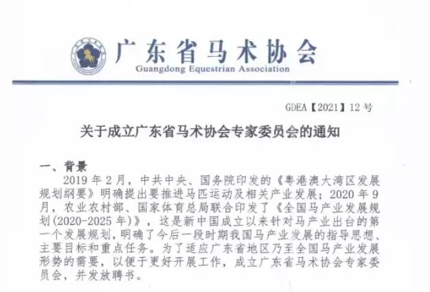 马术三项赛事件,马术事件