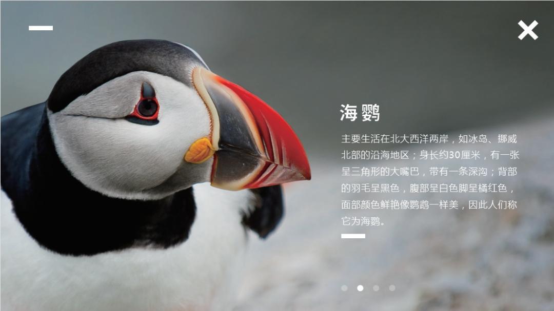 数学封面图设计,封面图怎么设计