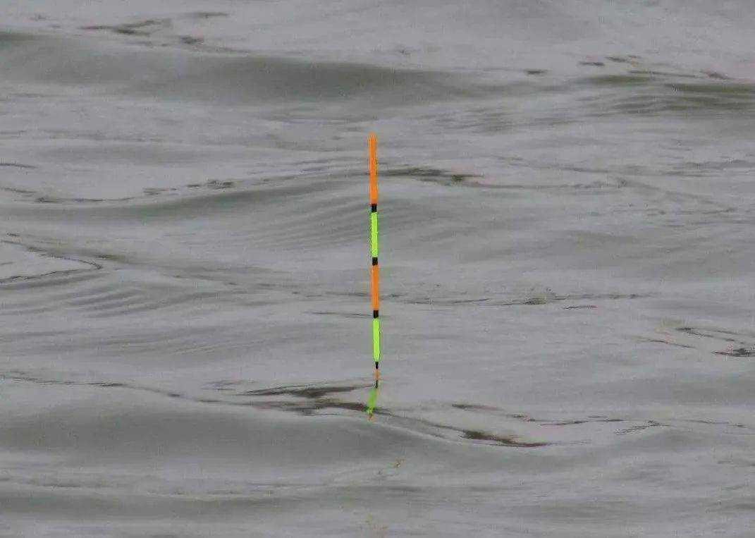 邓刚大师讲解调漂,新手立漂调漂的正确方法和技巧