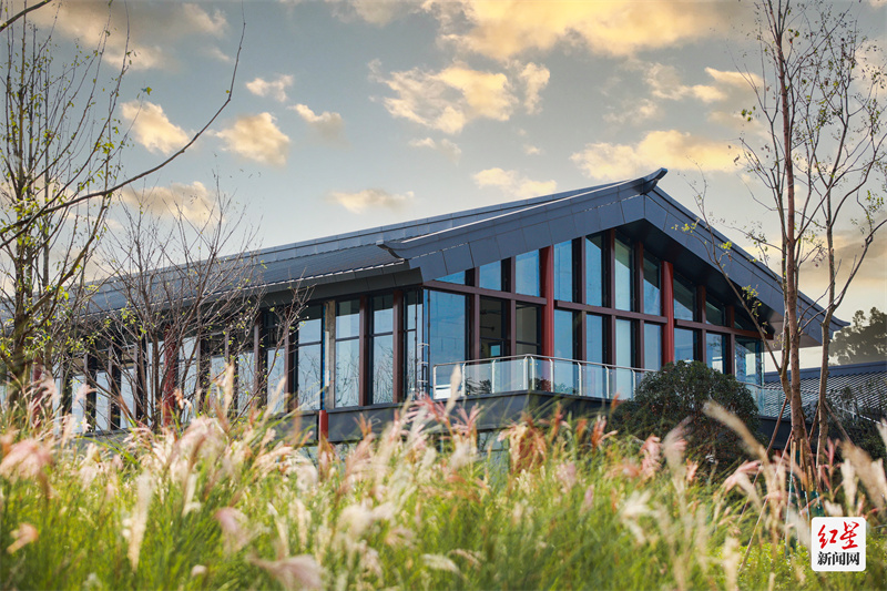 翡翠项链要多少钱一条,惊艳的翡翠项链