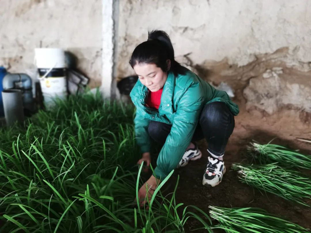 为妇女群众办实事,乡村振兴创业担保贷款帮扶政策