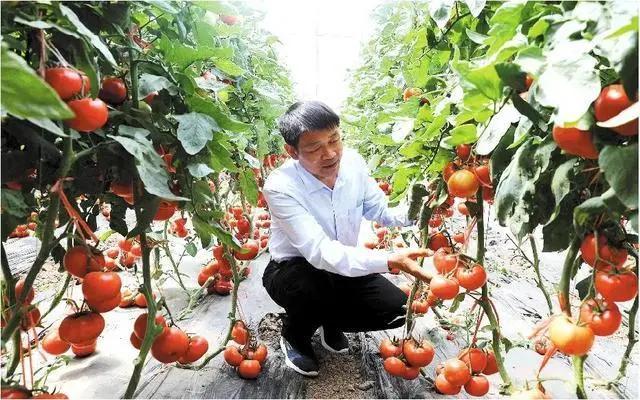 财政金融如何助推农业高质量发展,统筹推进农业农村工作高质量发展