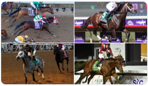 2023全马奖金是多少,100万元赛马奖金