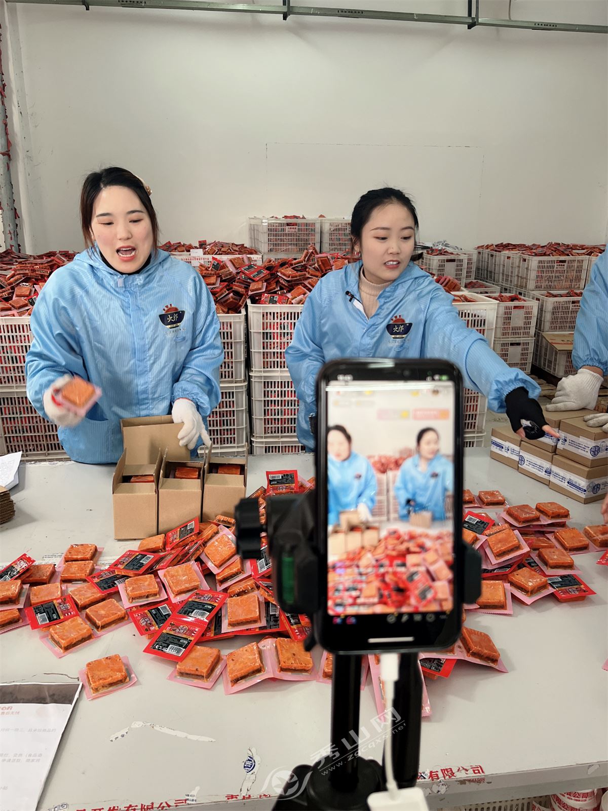 农信杯大学生乡村振兴大赛,农信杯乡村振兴大赛