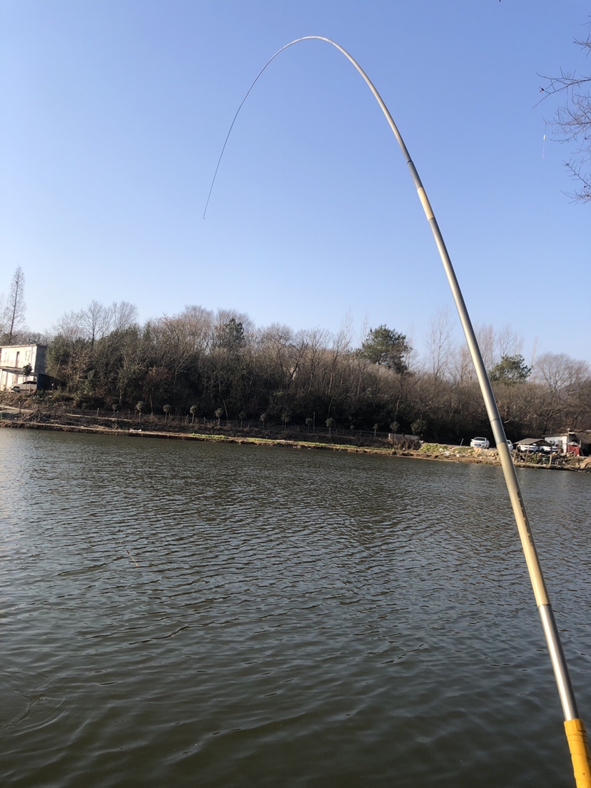 2021打龟爆护同在，未来渔你同行