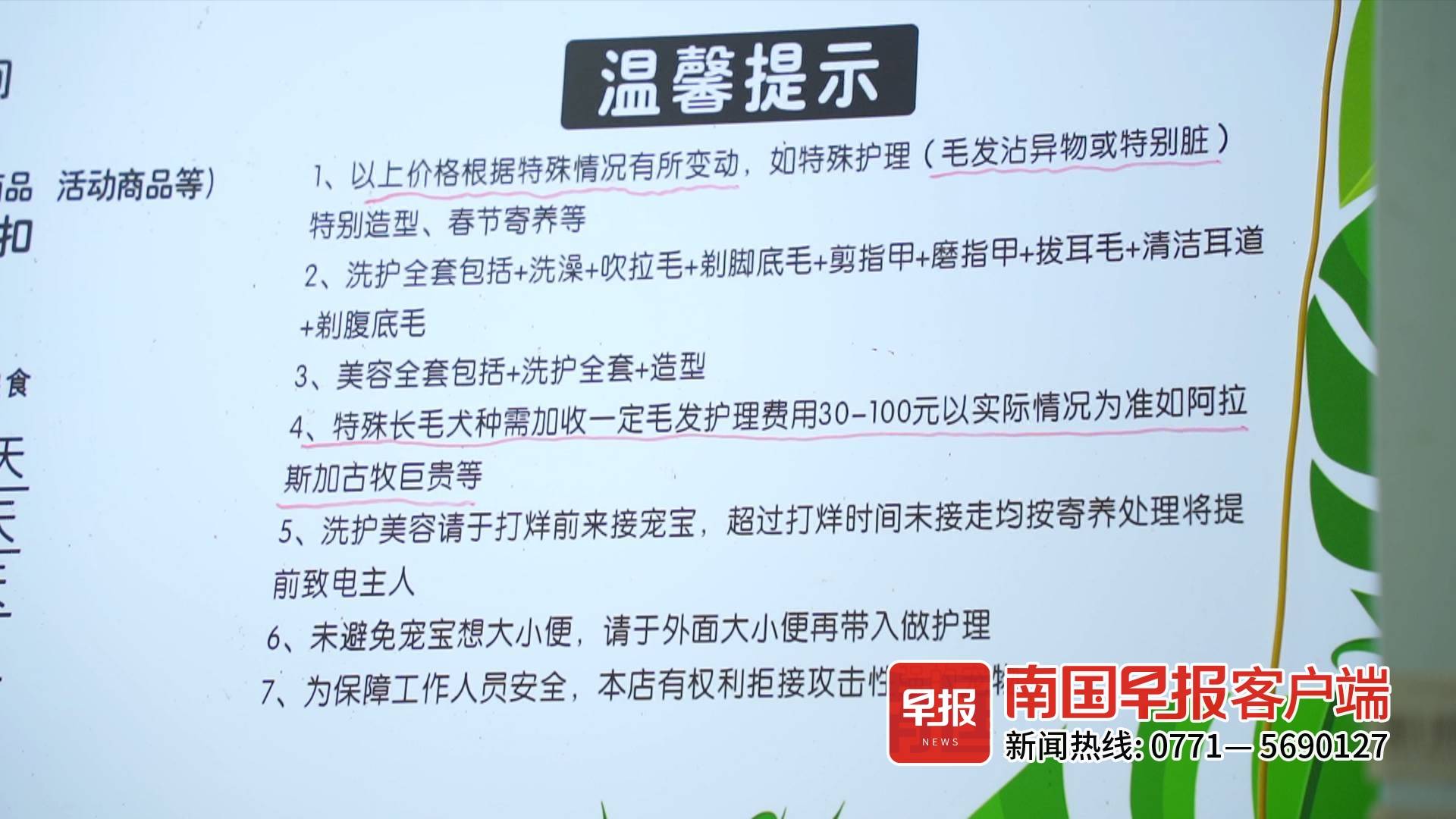 宠物店寄养一天10元南宁,南宁哪家猫咪寄养好