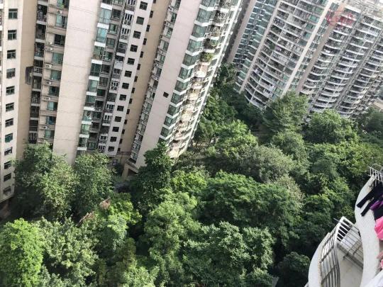 广州跌幅最小的板块,涨声一片