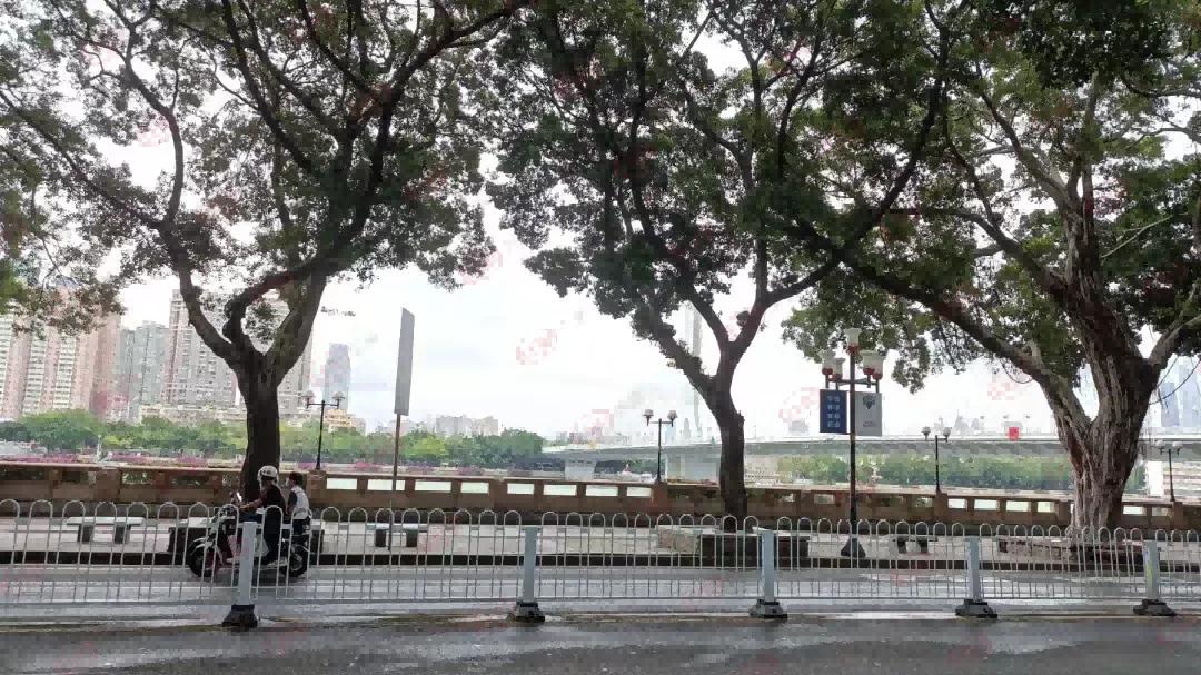 广州跌幅最小的板块,涨声一片