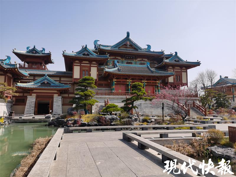 南京江宁周边赏花一日游免费,4月赏花踏青南京江宁