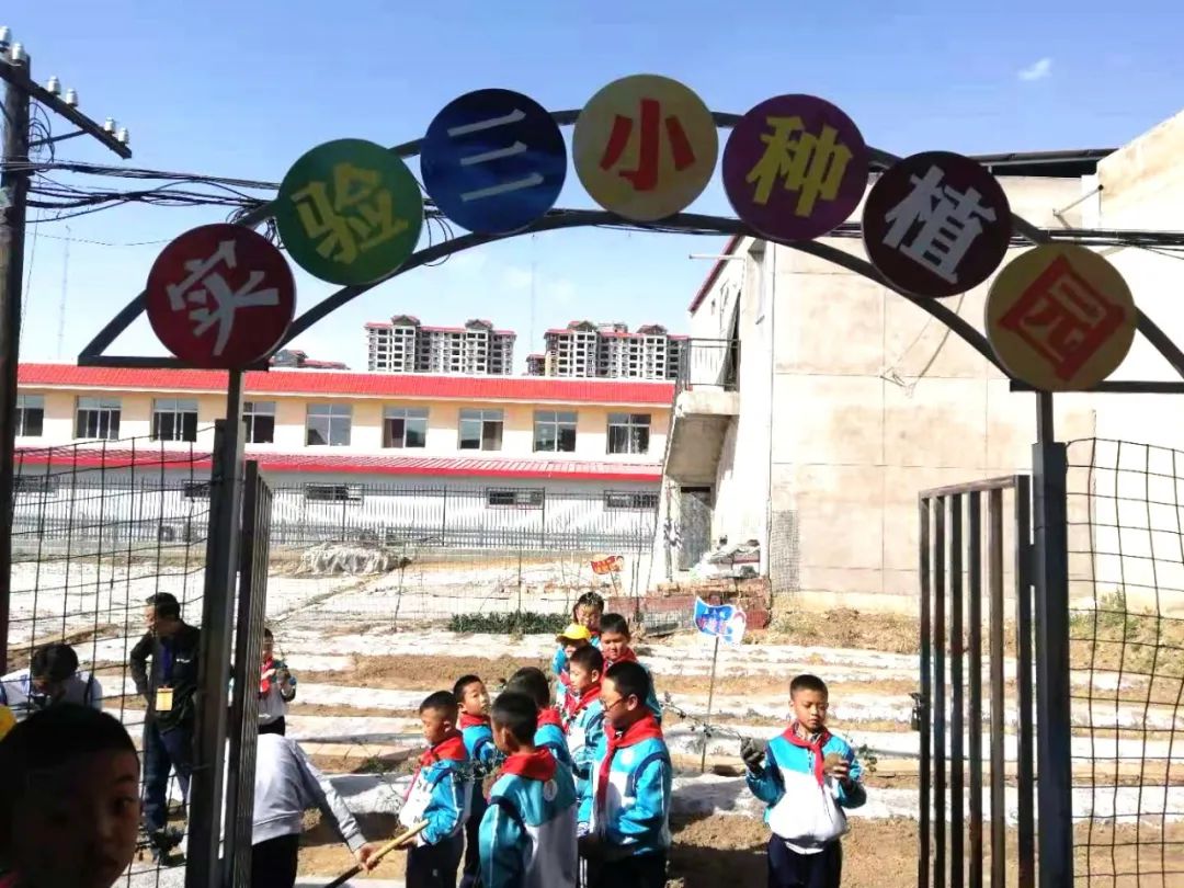 甘肃临洮第三实验小学,双减形式下小学的作业如何改革