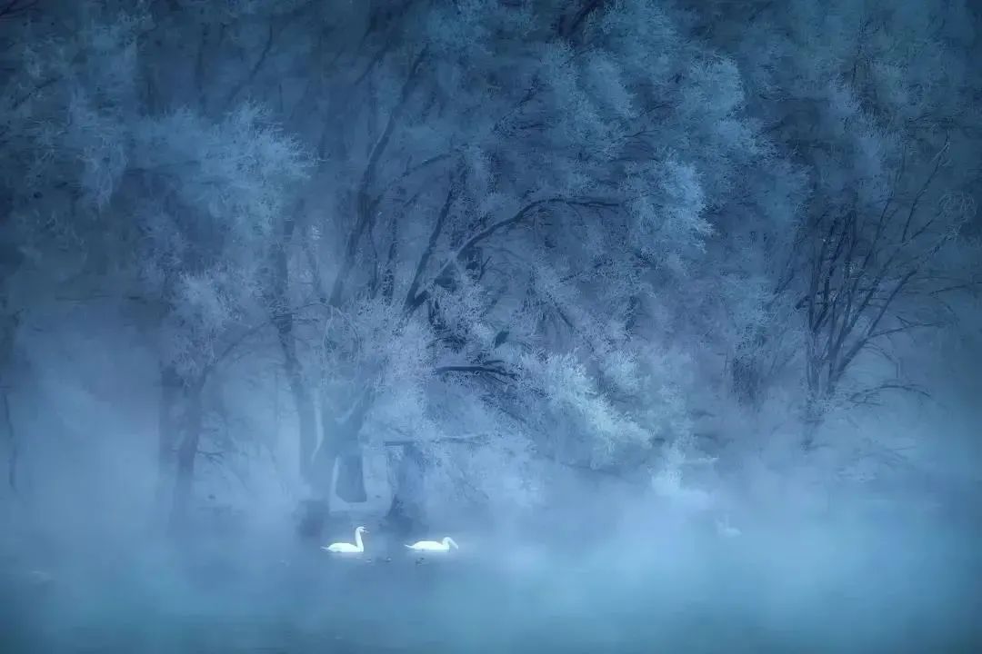 滴！跟着CCTV的镜头打卡*疆新**之春