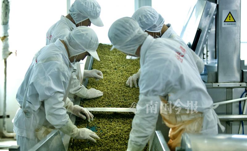 柳州螺蛳粉的配料和制作方法,正宗柳州螺蛳粉酸豆角