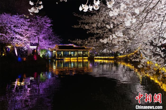 樱花的花期到底有多久,樱花的花期一共有几天