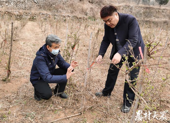 中药材深加工前景如何,中药材加工的市场前景