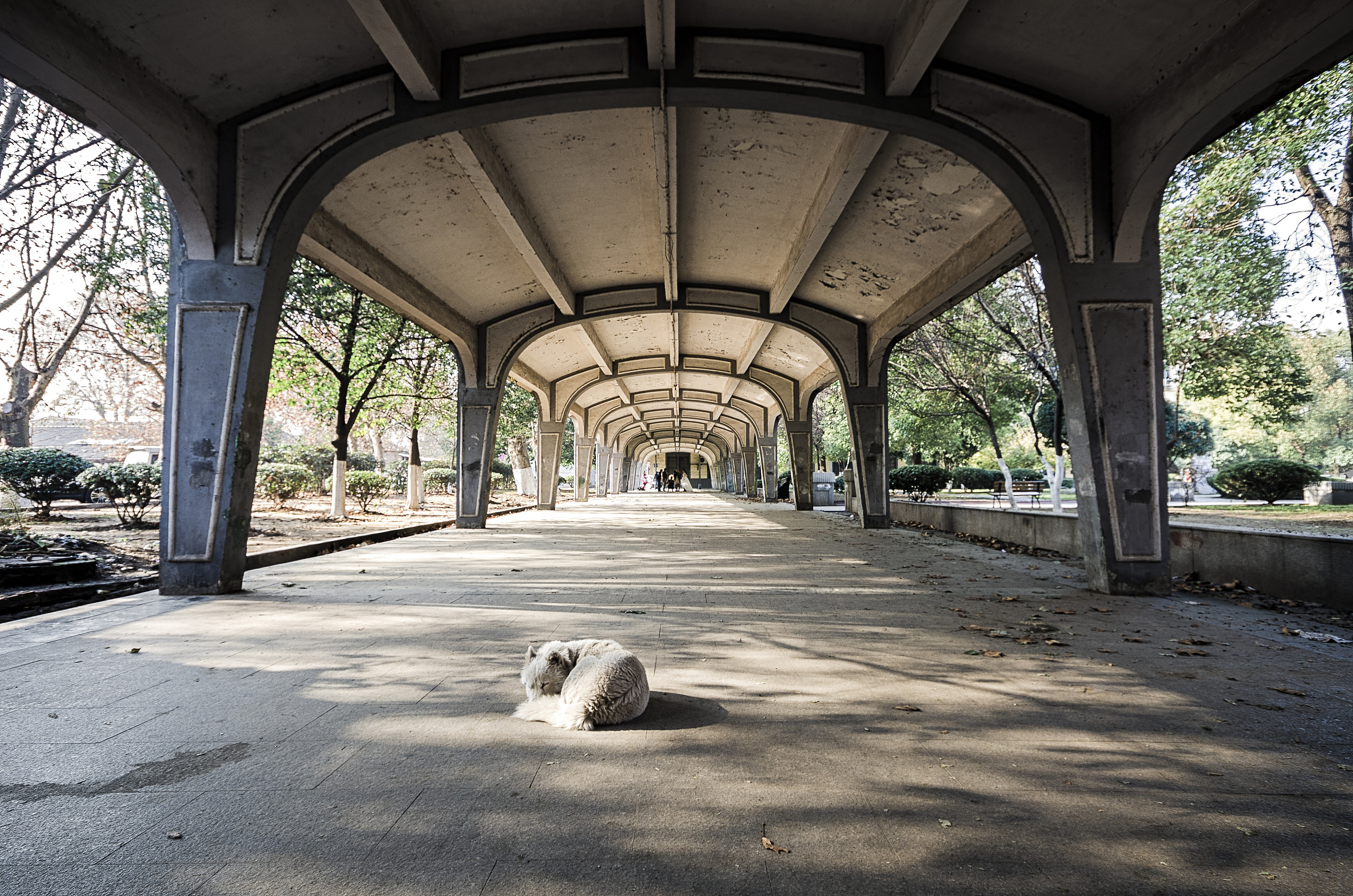 行长江,探文脉|古都南京,跨越千载的长江之歌