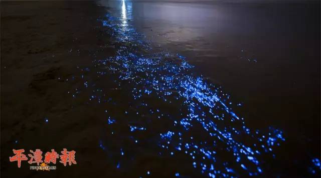 蓝眼泪的传说简短,揭秘蓝眼泪