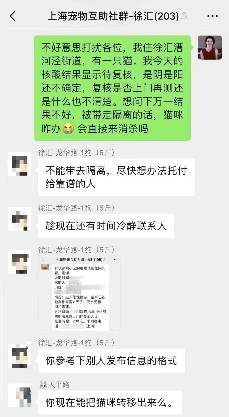 宠物方舱,宠物方舱真相在哪