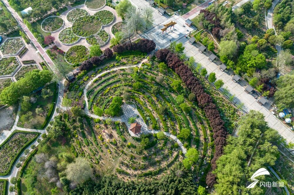 菏泽百花争艳惹人醉,菏泽最著名的牡丹花有什么